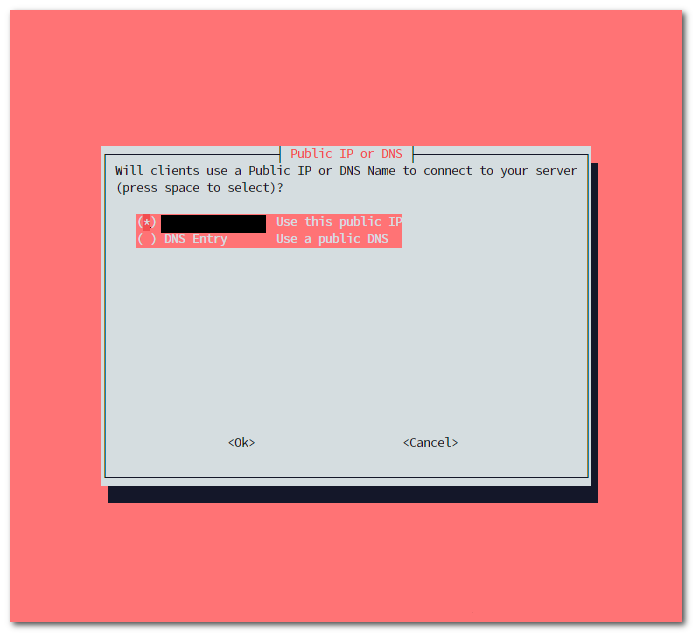 PiVPN installer public IP or DNS selection