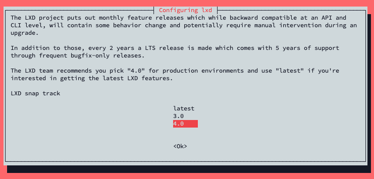 Ubuntu release upgrade dialog selecting the LXD snap track