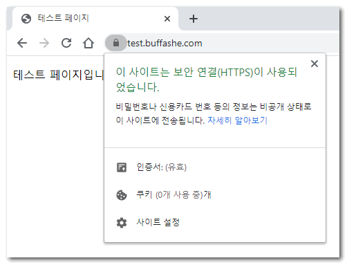 Browser showing the static website loaded over HTTPS